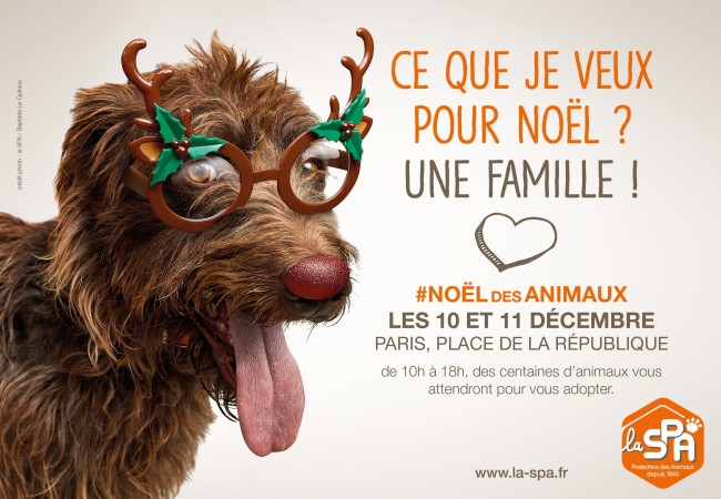 Le Noël des animaux – la SPA – 10 et 11 décembre – Place de la République