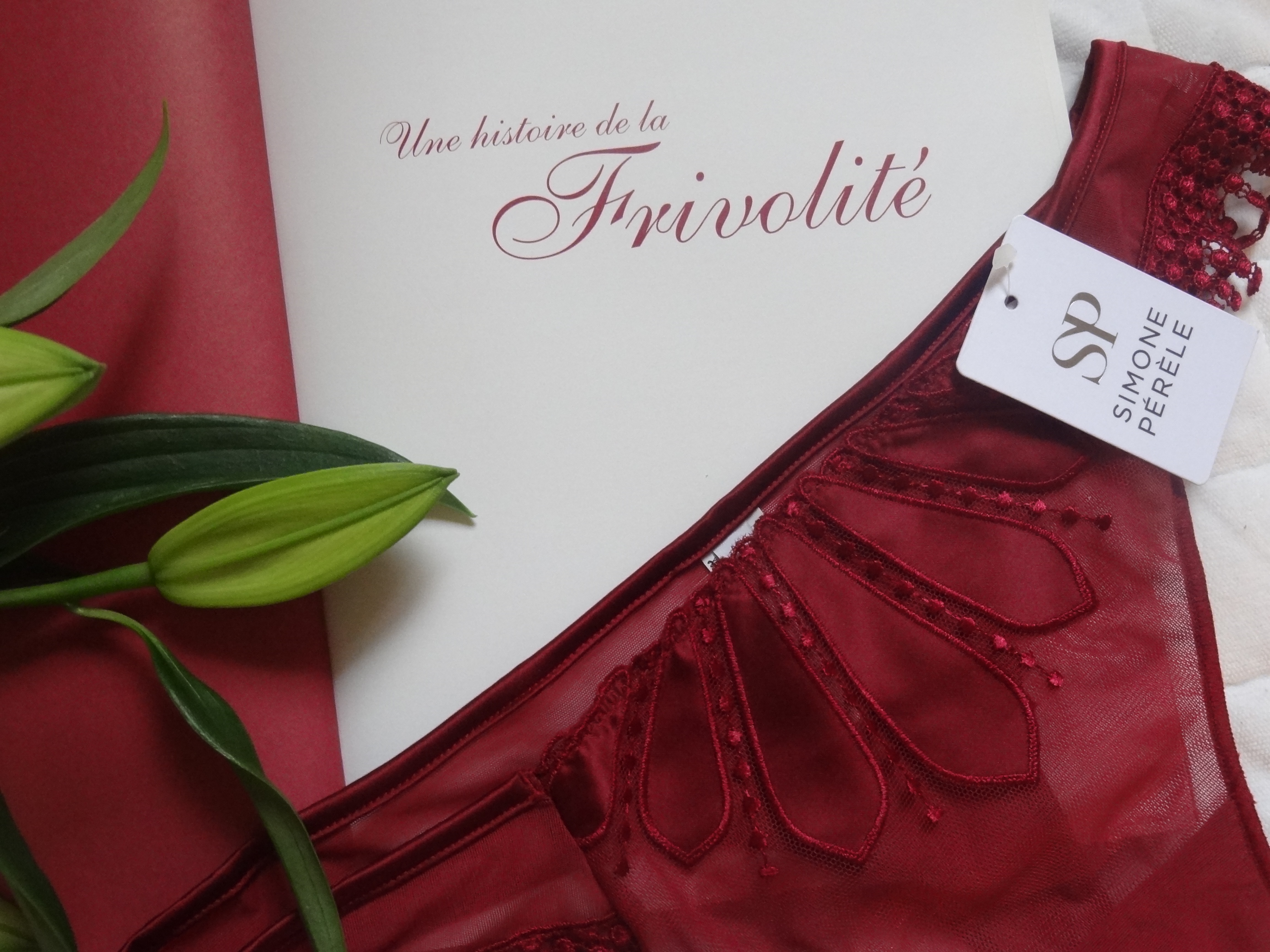 Dessus Dessous Lingerie Fine Simone P r le Paris Frivole dessus-dessous-lingerie-fine-simone-p-r-le-paris-frivole
