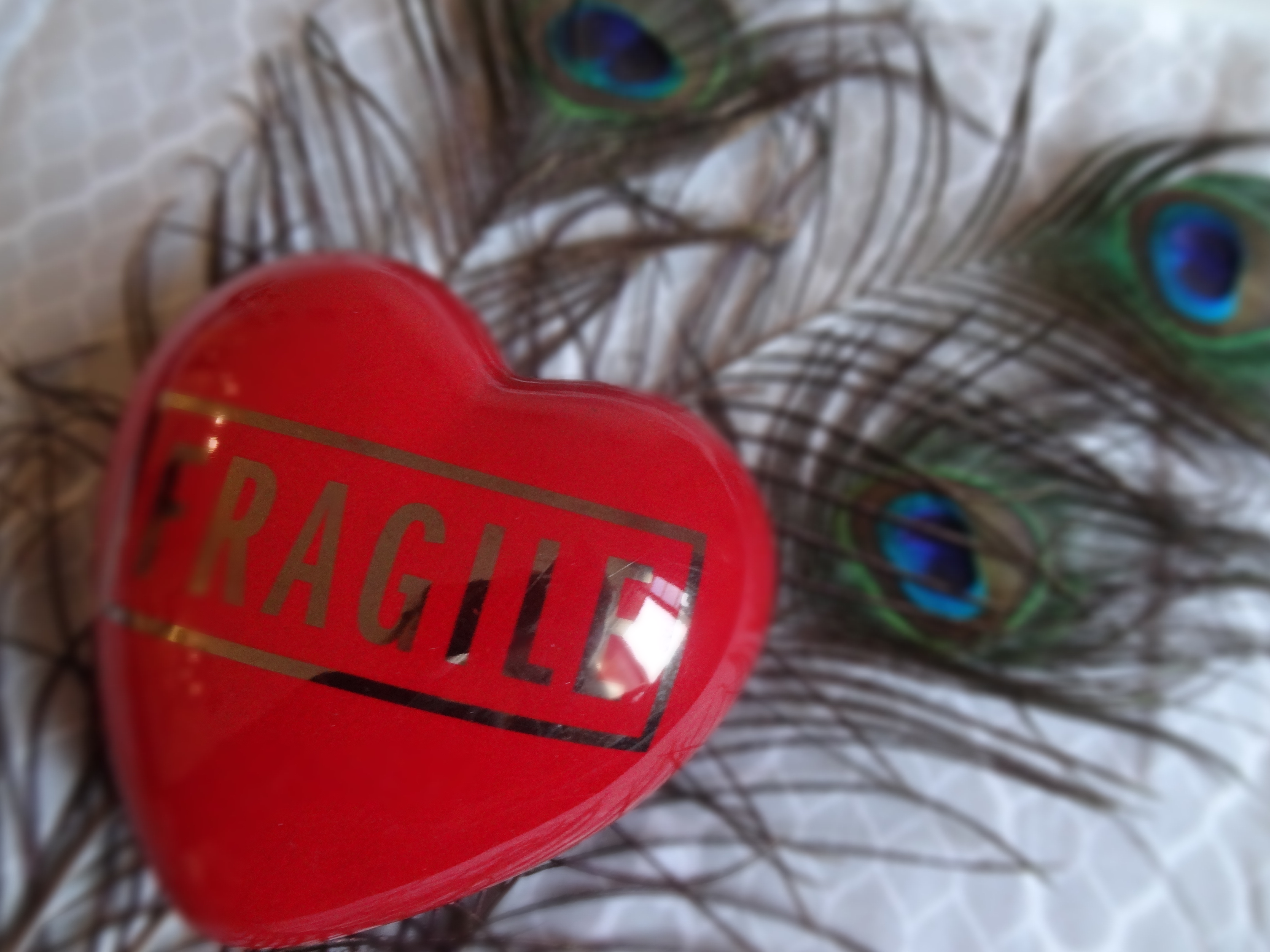 HEART GALLERY – Passage du Désir – coeur fragile – Paris Frivole