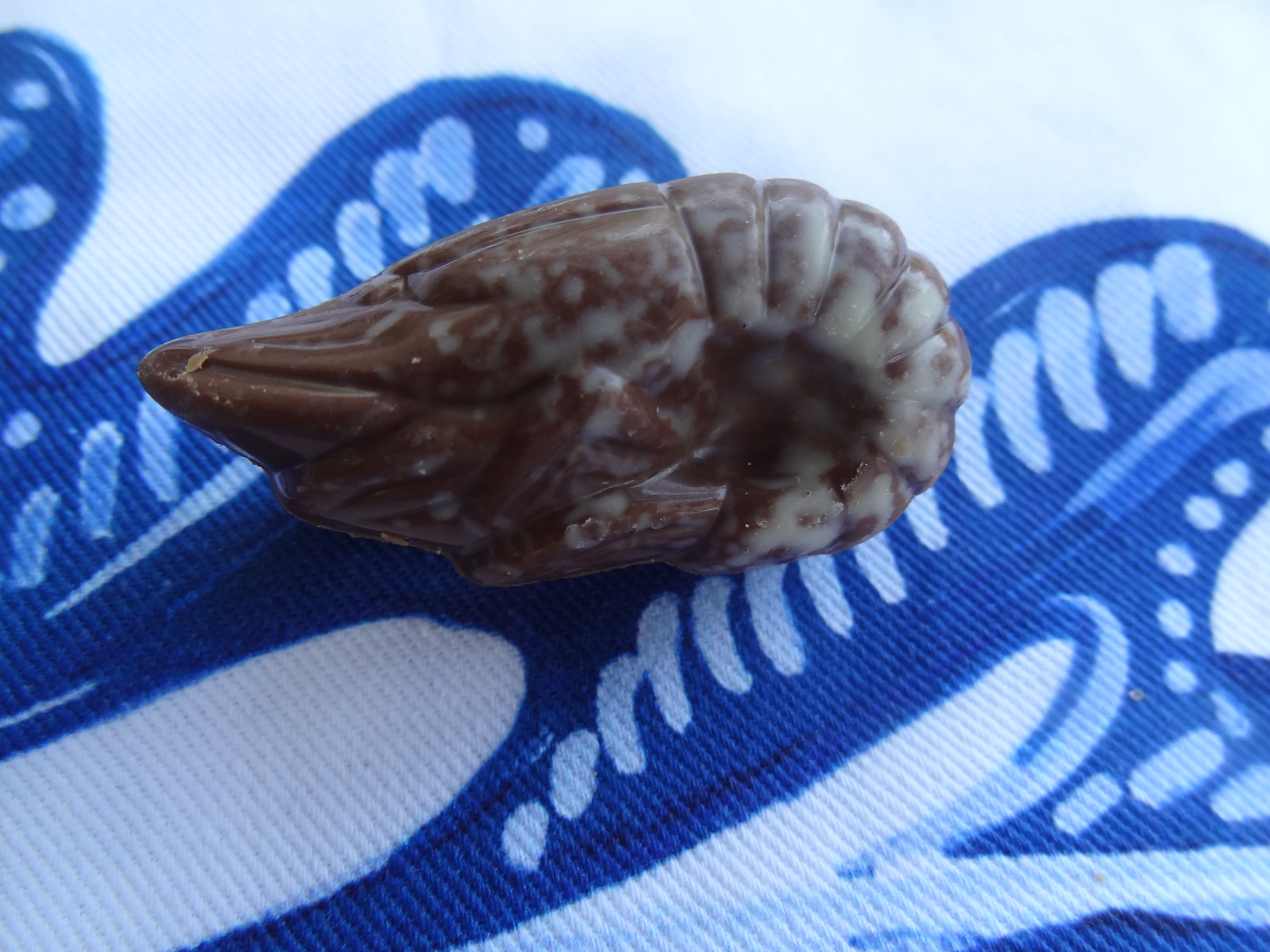 Leonidas les Fruits de Mer en