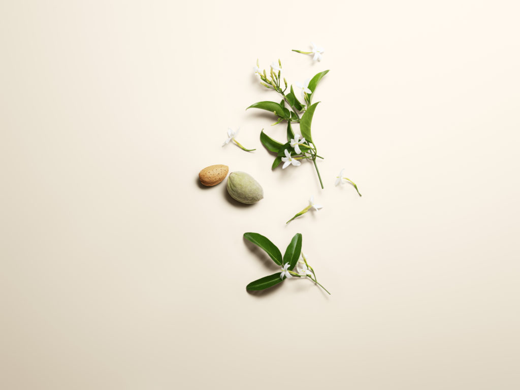 Lalique - la nouvelle fragrance Plume Blanche - collection Noir Premier