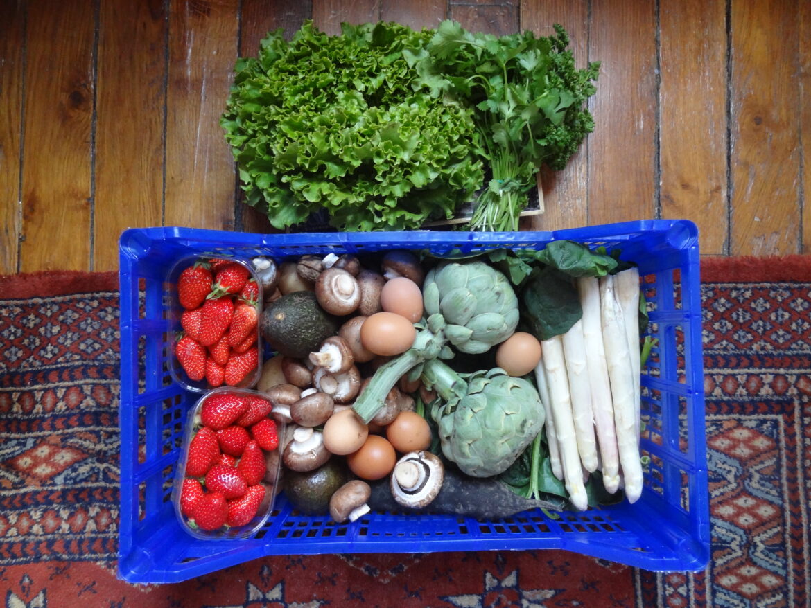 Bio Sain Vite - livraison de paniers de fruits et légumes Bio et français