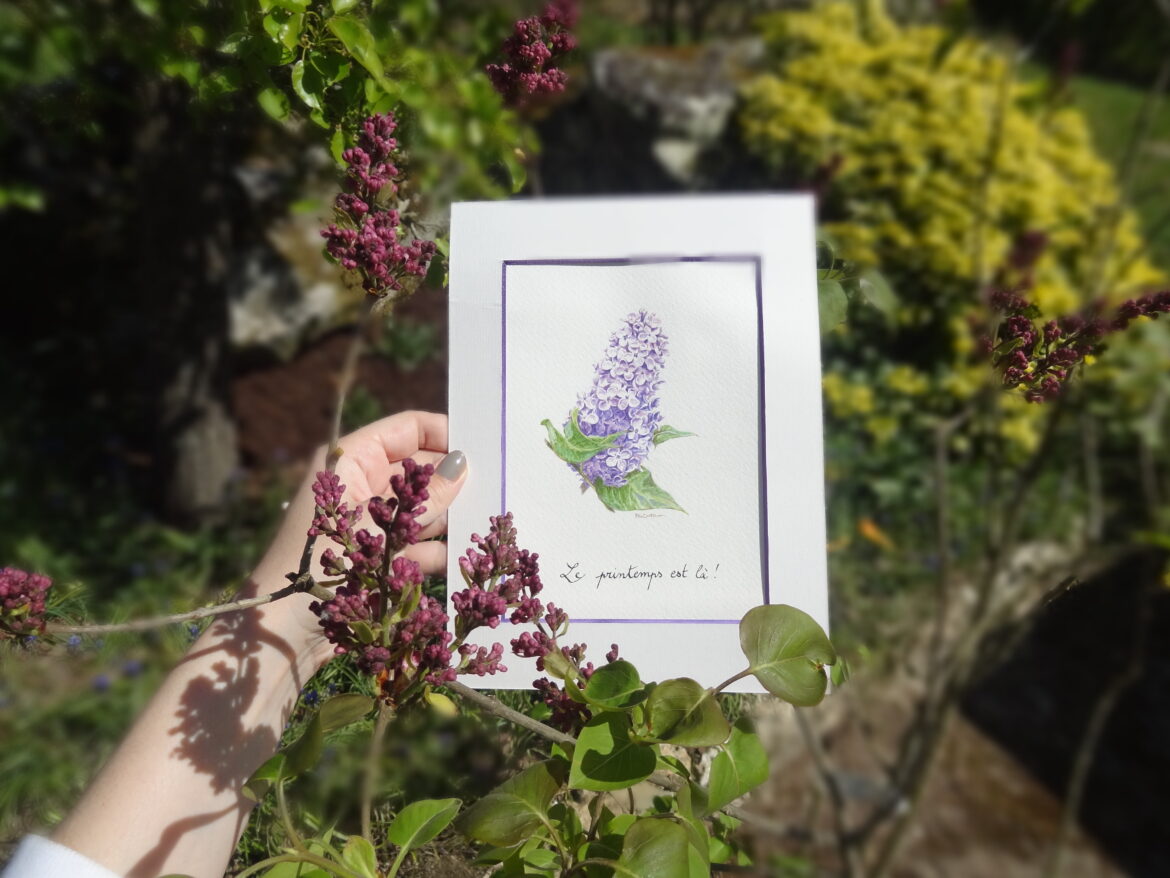 Dessine-moi une fleur - des illustrations de fleurs sur mesure à offrir